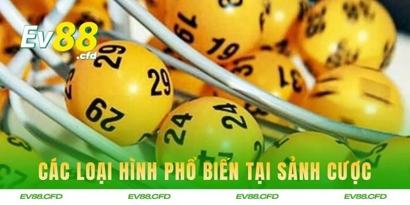 Các loại hình phổ biến nhất tại sảnh cược