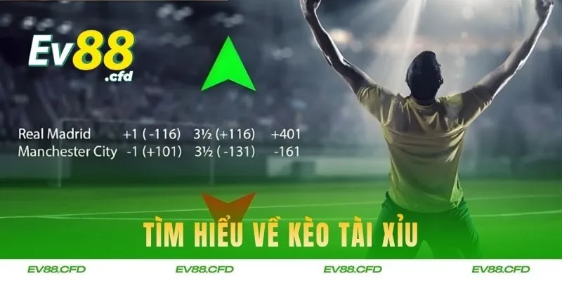 Tìm hiểu về kèo tài xỉu